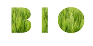 ΒΙΟ εγγραφή Έννοια Eco Υπόβαθρο της ζωηρής πράσινης χλόης του λιβαδιού στοκ εικόνα με δικαίωμα ελεύθερης χρήσης ΒΙΟ εγγραφή Έννοια Eco Υπόβαθρο της ζωηρής πράσινης χλόης του λιβαδιού στοκ εικόνα με δικαίωμα ελεύθερης χρήσης