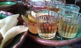 Βλαστοί Mezcal στοκ εικόνα με δικαίωμα ελεύθερης χρήσης Βλαστοί Mezcal στοκ εικόνα με δικαίωμα ελεύθερης χρήσης