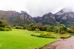Βοτανικοί κήποι Kirstenbosch στο Καίηπ Τάουν †«Νότια Αφρική στοκ εικόνα με δικαίωμα ελεύθερης χρήσης Βοτανικοί κήποι Kirstenbosch στο Καίηπ Τάουν †«Νότια Αφρική στοκ εικόνα με δικαίωμα ελεύθερης χρήσης