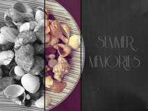 Βράχοι και κοχύλια θάλασσας με το κείμενο στοκ φωτογραφία Βράχοι και κοχύλια θάλασσας με το κείμενο στοκ φωτογραφία