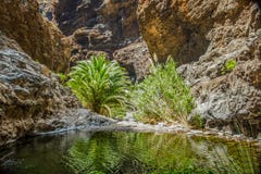 Βράχοι στο φαράγγι Masca, Tenerife, που παρουσιάζει τα σταθεροποιημένους ηφαιστειακούς στρώματα ροής λάβας και σχηματισμό αψίδων στοκ φωτογραφία Βράχοι στο φαράγγι Masca, Tenerife, που παρουσιάζει τα σταθεροποιημένους ηφαιστειακούς στρώματα ροής λάβας και σχηματισμό αψίδων στοκ φωτογραφία