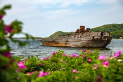 Βυθισμένο σκάφος σε ένα υπόβαθρο των λουλουδιών στοκ φωτογραφία με δικαίωμα ελεύθερης χρήσης Βυθισμένο σκάφος σε ένα υπόβαθρο των λουλουδιών στοκ φωτογραφία με δικαίωμα ελεύθερης χρήσης