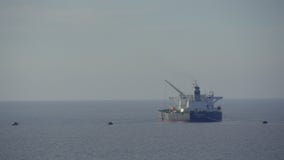 Βυτιοφόρο στο χώρο στάθμευσης που περιμένει ένα que απόθεμα βίντεο Βυτιοφόρο στο χώρο στάθμευσης που περιμένει ένα que απόθεμα βίντεο