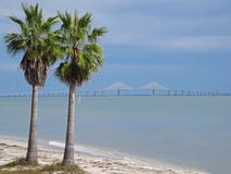 Γέφυρα Skyway ηλιοφάνειας που διασχίζει το Tampa Bay στη Φλώριδα με τους φοίνικες, Φλώριδα, ΗΠΑ στοκ φωτογραφία με δικαίωμα ελεύθερης χρήσης Γέφυρα Skyway ηλιοφάνειας που διασχίζει το Tampa Bay στη Φλώριδα με τους φοίνικες, Φλώριδα, ΗΠΑ στοκ φωτογραφία με δικαίωμα ελεύθερης χρήσης