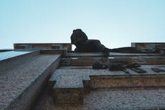Γέφυρα γυναίκας στο Μπουένος Άιρες, Αργεντινή στοκ φωτογραφία με δικαίωμα ελεύθερης χρήσης Γέφυρα γυναίκας στο Μπουένος Άιρες, Αργεντινή στοκ φωτογραφία με δικαίωμα ελεύθερης χρήσης