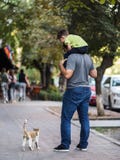 Γειά σου, μωρό! Παιχνίδι πατέρων και γιων με τη χαριτωμένη γάτα οδών στοκ εικόνες Γειά σου, μωρό! Παιχνίδι πατέρων και γιων με τη χαριτωμένη γάτα οδών στοκ εικόνες