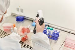 Γιατρός στο εργαστήριο Ο επιστήμονας πραγματοποιεί την έρευνα στοκ φωτογραφίες Γιατρός στο εργαστήριο Ο επιστήμονας πραγματοποιεί την έρευνα στοκ φωτογραφίες