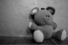 Γραπτό μαλακό χνουδωτό Teddy αφορά αριστερά το πάτωμα στοκ εικόνες Γραπτό μαλακό χνουδωτό Teddy αφορά αριστερά το πάτωμα στοκ εικόνες