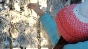 Γυναίκα που απολαμβάνει στο χειμερινό δάσος στο ηλιοβασίλεμα απόθεμα βίντεο Γυναίκα που απολαμβάνει στο χειμερινό δάσος στο ηλιοβασίλεμα απόθεμα βίντεο