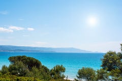 Δέντρα πεύκων και μπλε θάλασσα στην ακτή Alghero Στοκ φωτογραφίες με δικαίωμα ελεύθερης χρήσης Δέντρα πεύκων και μπλε θάλασσα στην ακτή Alghero Στοκ φωτογραφίες με δικαίωμα ελεύθερης χρήσης
