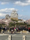 Δέντρο Sakura με τον ουρανό σύννεφων στο κάστρο του Himeji στοκ φωτογραφία με δικαίωμα ελεύθερης χρήσης Δέντρο Sakura με τον ουρανό σύννεφων στο κάστρο του Himeji στοκ φωτογραφία με δικαίωμα ελεύθερης χρήσης