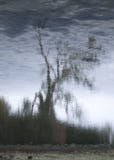 Δέντρο που θολώνεται στο νερό ενός ποταμού στοκ φωτογραφίες με δικαίωμα ελεύθερης χρήσης Δέντρο που θολώνεται στο νερό ενός ποταμού στοκ φωτογραφίες με δικαίωμα ελεύθερης χρήσης