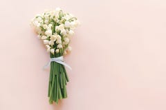 Δέσμη των snowdrops στοκ φωτογραφία με δικαίωμα ελεύθερης χρήσης Δέσμη των snowdrops στοκ φωτογραφία με δικαίωμα ελεύθερης χρήσης