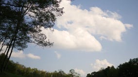 Δασική σειρά πτώσης - χρονικό σφάλμα των σύννεφων που περνούν πέρα από ένα λιβάδι φιλμ μικρού μήκους Δασική σειρά πτώσης - χρονικό σφάλμα των σύννεφων που περνούν πέρα από ένα λιβάδι φιλμ μικρού μήκους