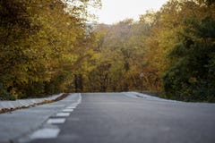 Δασικός δρόμος βουνών ενάντια στο ηλιοβασίλεμα στοκ φωτογραφία με δικαίωμα ελεύθερης χρήσης Δασικός δρόμος βουνών ενάντια στο ηλιοβασίλεμα στοκ φωτογραφία με δικαίωμα ελεύθερης χρήσης