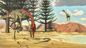 Δεινόσαυροι Compsognathus - τρισδιάστατοι δώστε Στοκ φωτογραφίες με δικαίωμα ελεύθερης χρήσης Δεινόσαυροι Compsognathus - τρισδιάστατοι δώστε Στοκ φωτογραφίες με δικαίωμα ελεύθερης χρήσης