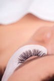 Διαδικασία επέκτασης Eyelash Μάτι γυναικών με τα μακροχρόνια eyelashes Τα μαστίγια, κλείνουν επάνω, επιλεγμένη εστίαση στοκ εικόνες Διαδικασία επέκτασης Eyelash Μάτι γυναικών με τα μακροχρόνια eyelashes Τα μαστίγια, κλείνουν επάνω, επιλεγμένη εστίαση στοκ εικόνες