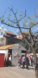 Διακοσμήσεις Πάσχας στο τετράγωνο ένωσης Timisoara Ρουμανία για τις καθολ στοκ φωτογραφίες με δικαίωμα ελεύθερης χρήσης Διακοσμήσεις Πάσχας στο τετράγωνο ένωσης Timisoara Ρουμανία για τις καθολ στοκ φωτογραφίες με δικαίωμα ελεύθερης χρήσης