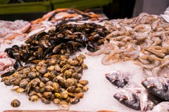 Διαφορετικά θαλασσινά στον πάγο στην αγορά ψαριών οδών στοκ φωτογραφίες με δικαίωμα ελεύθερης χρήσης Διαφορετικά θαλασσινά στον πάγο στην αγορά ψαριών οδών στοκ φωτογραφίες με δικαίωμα ελεύθερης χρήσης