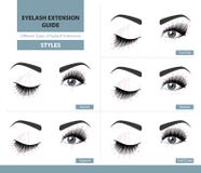 Διαφορετικοί τύποι επεκτάσεων eyelash Οι μορφές για την κολακεία κοιτάζουν Διανυσματική απεικόνιση Infographic απεικόνιση αποθεμάτων Διαφορετικοί τύποι επεκτάσεων eyelash Οι μορφές για την κολακεία κοιτάζουν Διανυσματική απεικόνιση Infographic απεικόνιση αποθεμάτων