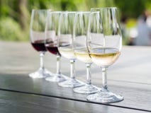 Δοκιμή κρασιού σε Stellenbosch στοκ εικόνες Δοκιμή κρασιού σε Stellenbosch στοκ εικόνες