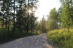Δρόμος Backcountry στο μεγάλο Tetons στοκ εικόνες Δρόμος Backcountry στο μεγάλο Tetons στοκ εικόνες