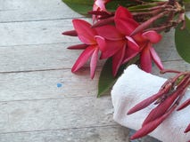 Δωμάτιο μασάζ SPA με τα λουλούδια και τις άσπρες πετσέτες στοκ εικόνες με δικαίωμα ελεύθερης χρήσης Δωμάτιο μασάζ SPA με τα λουλούδια και τις άσπρες πετσέτες στοκ εικόνες με δικαίωμα ελεύθερης χρήσης