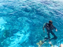 Δύο δύτες στη μαύρη κατάδυση σκαφάνδρων ταιριάζουν, ένας άνδρας και μια γυναίκα με το νεροχύτη μπουκαλιών οξυγόνου κάτω από το δι στοκ εικόνα Δύο δύτες στη μαύρη κατάδυση σκαφάνδρων ταιριάζουν, ένας άνδρας και μια γυναίκα με το νεροχύτη μπουκαλιών οξυγόνου κάτω από το δι στοκ εικόνα