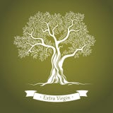 Ελιά. Ελαιόλαδο. Διανυσματική ελιά. Για τις ετικέτες, πακέτο. απεικόνιση αποθεμάτων Ελιά. Ελαιόλαδο. Διανυσματική ελιά. Για τις ετικέτες, πακέτο. απεικόνιση αποθεμάτων