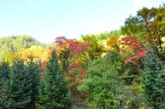 Εθνικό πάρκο Jiuzhaigou που βρίσκεται στο Βορρά της επαρχίας Σισουάν στη νοτιοδυτική περιοχή της Κίνας στοκ εικόνες με δικαίωμα ελεύθερης χρήσης Εθνικό πάρκο Jiuzhaigou που βρίσκεται στο Βορρά της επαρχίας Σισουάν στη νοτιοδυτική περιοχή της Κίνας στοκ εικόνες με δικαίωμα ελεύθερης χρήσης
