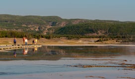 Εθνικό πάρκο Yellowstone, WY, ΗΠΑ στοκ φωτογραφίες με δικαίωμα ελεύθερης χρήσης Εθνικό πάρκο Yellowstone, WY, ΗΠΑ στοκ φωτογραφίες με δικαίωμα ελεύθερης χρήσης