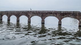 Εικόνα ενός ερωδιού στο υδραγωγείο στις καταστροφές με τις αψίδες σε έναν ποταμό στοκ φωτογραφία Εικόνα ενός ερωδιού στο υδραγωγείο στις καταστροφές με τις αψίδες σε έναν ποταμό στοκ φωτογραφία