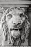 Εκλεκτής ποιότητας άγαλμα παλατιών, το πρόσωπο του λιονταριού στοκ φωτογραφίες με δικαίωμα ελεύθερης χρήσης Εκλεκτής ποιότητας άγαλμα παλατιών, το πρόσωπο του λιονταριού στοκ φωτογραφίες με δικαίωμα ελεύθερης χρήσης