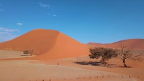 Εναέρια άποψη του αμμόλοφου 45, Sossusvlei Ναμίμπια Εναέρια άποψη του αμμόλοφου 45, Sossusvlei Ναμίμπια