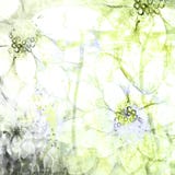 Εξασθενισμένες αφηρημένες Floral σκιαγραφημένες απεικονίσεις υποβάθρου Watercolor Grunge απεικόνιση αποθεμάτων Εξασθενισμένες αφηρημένες Floral σκιαγραφημένες απεικονίσεις υποβάθρου Watercolor Grunge απεικόνιση αποθεμάτων