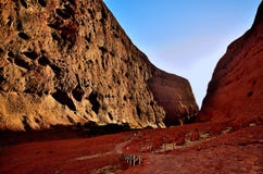 Εξερεύνηση Kata Tjuta στοκ φωτογραφίες με δικαίωμα ελεύθερης χρήσης Εξερεύνηση Kata Tjuta στοκ φωτογραφίες με δικαίωμα ελεύθερης χρήσης