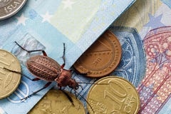 Επίγειος κάνθαρος στο λογαριασμό είκοσι ευρώ, μικρά νομίσματα της Ευρώπης Έννοια: κάνθαρος χρημάτων στοκ φωτογραφία Επίγειος κάνθαρος στο λογαριασμό είκοσι ευρώ, μικρά νομίσματα της Ευρώπης Έννοια: κάνθαρος χρημάτων στοκ φωτογραφία