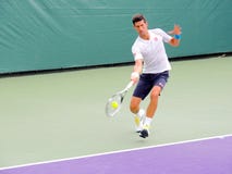 Επαγγελματίας αντισφαίρισης ATP Djokovic Novak από τη Σερβία στοκ φωτογραφίες Επαγγελματίας αντισφαίρισης ATP Djokovic Novak από τη Σερβία στοκ φωτογραφίες