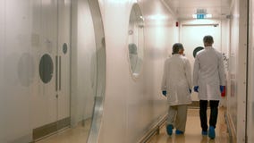 Επιστήμονες τροφίμων που εργάζονται μαζί στο εργαστήριο απόθεμα βίντεο Επιστήμονες τροφίμων που εργάζονται μαζί στο εργαστήριο απόθεμα βίντεο