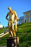 Επιχρυσωμένο άγαλμα ενός Nude αρσενικού σε Peterhof Άγιος-Πετρούπολη russ στοκ εικόνα Επιχρυσωμένο άγαλμα ενός Nude αρσενικού σε Peterhof Άγιος-Πετρούπολη russ στοκ εικόνα