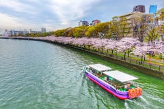 Εποχή Sakura και γύρος επίσκεψης στην Οζάκα Ιαπωνία στοκ φωτογραφία Εποχή Sakura και γύρος επίσκεψης στην Οζάκα Ιαπωνία στοκ φωτογραφία