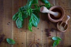 Εργαλεία κουζινών για τα καρυκεύματα Φρέσκοι βασιλικός και καρυκεύματα στον πίνακα στοκ φωτογραφία με δικαίωμα ελεύθερης χρήσης Εργαλεία κουζινών για τα καρυκεύματα Φρέσκοι βασιλικός και καρυκεύματα στον πίνακα στοκ φωτογραφία με δικαίωμα ελεύθερης χρήσης