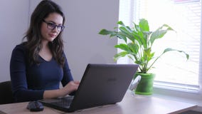 Εργασίες επιχειρηματιών για τον υπολογιστή στην αρχή με το παράθυρο και τις εσωτερικές εγκαταστάσεις απόθεμα βίντεο Εργασίες επιχειρηματιών για τον υπολογιστή στην αρχή με το παράθυρο και τις εσωτερικές εγκαταστάσεις απόθεμα βίντεο