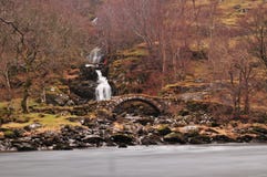 Ερείκη Cairngorms που πνίγει το δασικό πάτωμα στοκ εικόνες με δικαίωμα ελεύθερης χρήσης Ερείκη Cairngorms που πνίγει το δασικό πάτωμα στοκ εικόνες με δικαίωμα ελεύθερης χρήσης