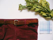 Εσώρουχα των κοτλέ burgundy ατόμων και πράσινη ανθοδέσμη δαφνών στο άσπρο υπόβαθρο Στοκ Εικόνα Εσώρουχα των κοτλέ burgundy ατόμων και πράσινη ανθοδέσμη δαφνών στο άσπρο υπόβαθρο Στοκ Εικόνα