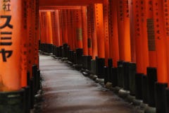 Ευμετάβλητη πορεία σε Fushimi Inari Taisha, Κιότο, Ιαπωνία στοκ εικόνες με δικαίωμα ελεύθερης χρήσης Ευμετάβλητη πορεία σε Fushimi Inari Taisha, Κιότο, Ιαπωνία στοκ εικόνες με δικαίωμα ελεύθερης χρήσης