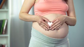 Ευτυχής κυρία που αναμένει το μωρό, που κρατά διαμορφωμένο το καρδιά αναμνηστικό στα χέρια, εγκυμοσύνη στοκ φωτογραφίες Ευτυχής κυρία που αναμένει το μωρό, που κρατά διαμορφωμένο το καρδιά αναμνηστικό στα χέρια, εγκυμοσύνη στοκ φωτογραφίες