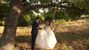 Ευτυχής νεόνυμφος που ταλαντεύεται σε μια ταλάντευση τη νύφη στο πάρκ απόθεμα βίντεο Ευτυχής νεόνυμφος που ταλαντεύεται σε μια ταλάντευση τη νύφη στο πάρκ απόθεμα βίντεο