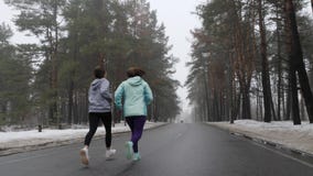 Ευτυχείς ανώτερες και νέες καυκάσιες γυναίκες που τρέχουν στο χιονώδες πάρκο το χειμώνα που μιλά και που χαμογελά Η πλάτη ακολουθ απόθεμα βίντεο Ευτυχείς ανώτερες και νέες καυκάσιες γυναίκες που τρέχουν στο χιονώδες πάρκο το χειμώνα που μιλά και που χαμογελά Η πλάτη ακολουθ απόθεμα βίντεο
