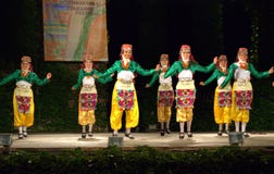 Εύθυμοι τουρκικοί χορευτές στα λαϊκά κοστούμια στη σκηνή Στοκ φωτογραφία με δικαίωμα ελεύθερης χρήσης Εύθυμοι τουρκικοί χορευτές στα λαϊκά κοστούμια στη σκηνή Στοκ φωτογραφία με δικαίωμα ελεύθερης χρήσης